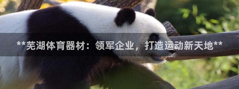 尊龙是什么软件
