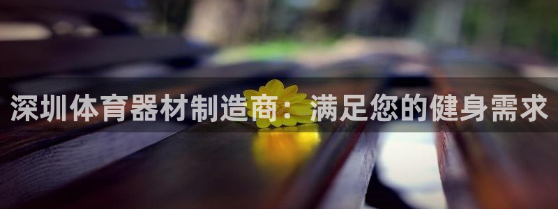 尊龙ag旗舰