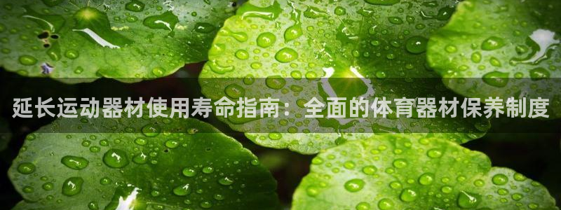 尊龙凯时俱乐部