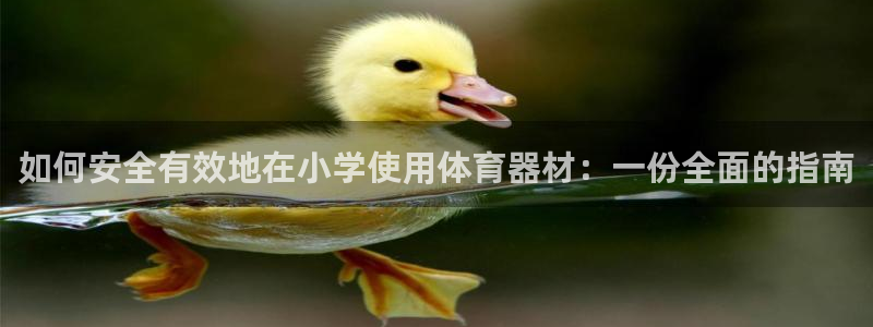 尊龙手机客户端下载APP