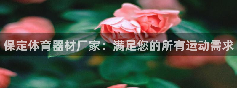 尊龙官网网页版