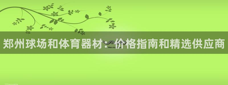尊龙t300和t400哪个好