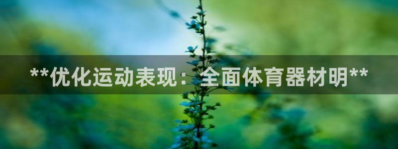 尊龙凯时麻将胡了
