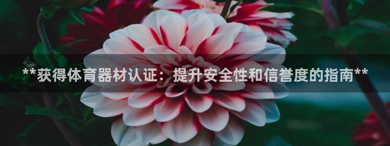 尊龙新版App下载