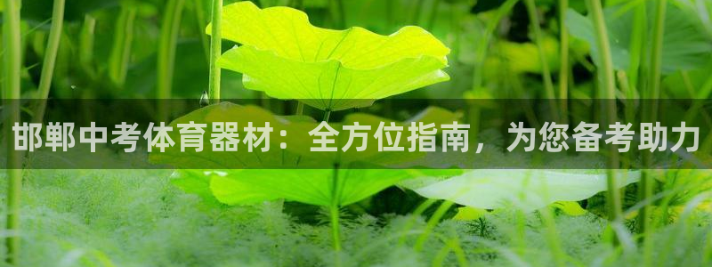 凯时官网手机版首页