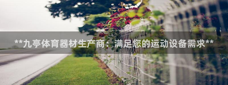 尊龙官网网页版