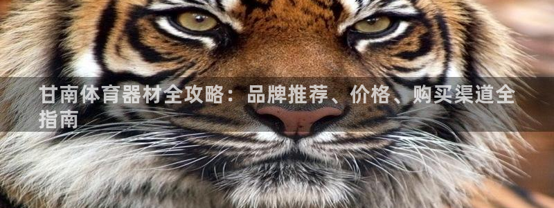 尊龙官方身高
