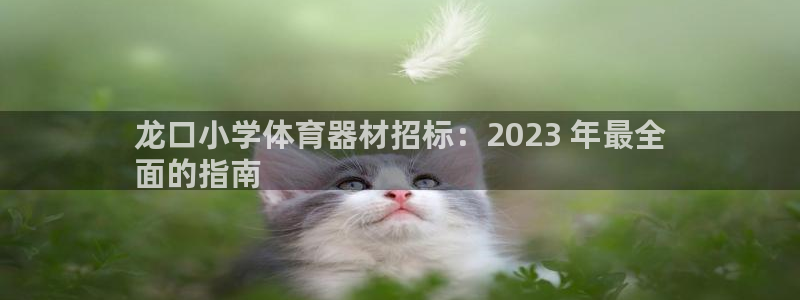 凯时a88