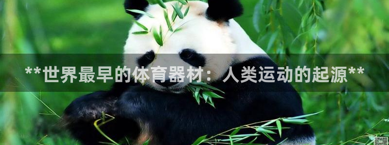 尊龙网平台