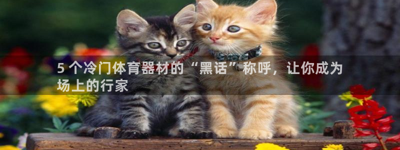 尊龙凯时网站首页手机登录