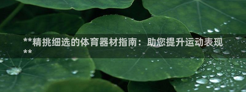 凯时官网手机版首页