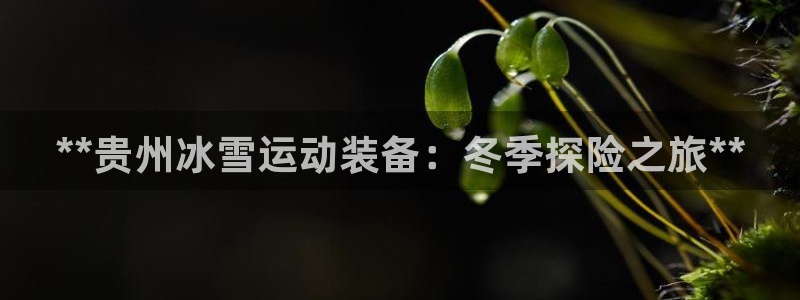 尊龙人生就是博旧版现金娱乐一下