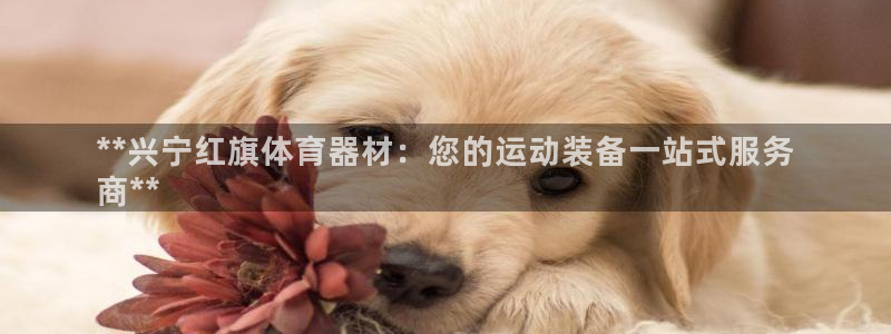 AG尊龙注册在线游戏