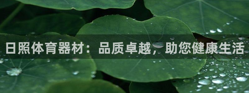 尊龙手机版下载