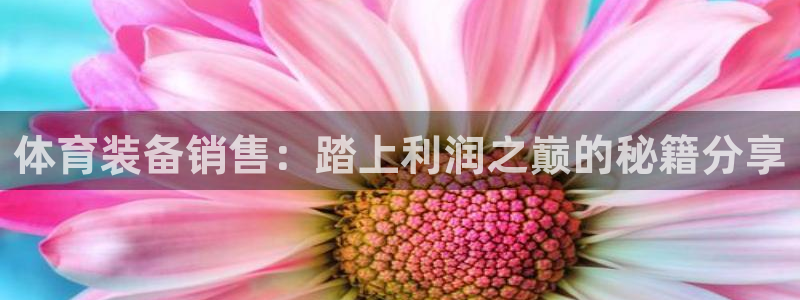 凯时国际官方版