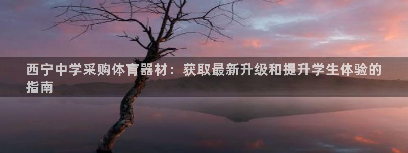 尊龙凯时赞助