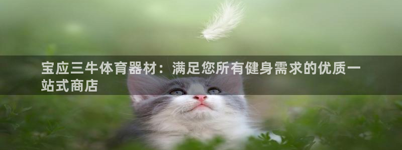 尊龙凯时台子