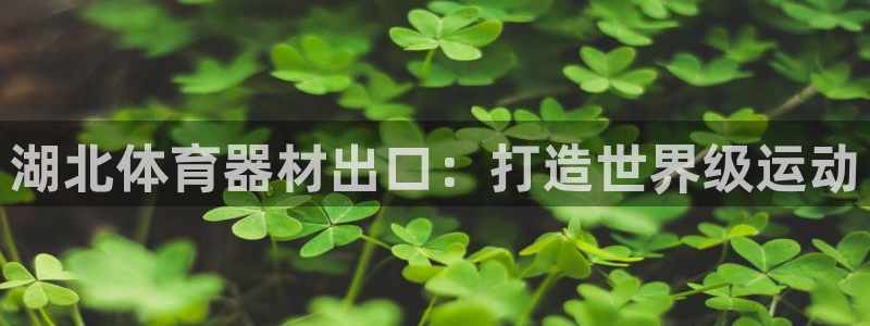 尊龙官方网站是真的吗