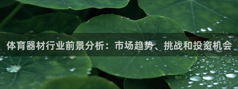 尊龙 下载