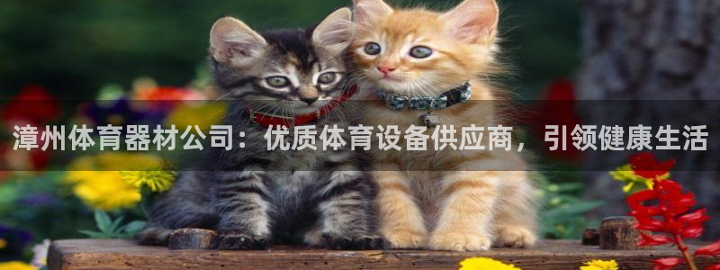 尊龙网站手机下载