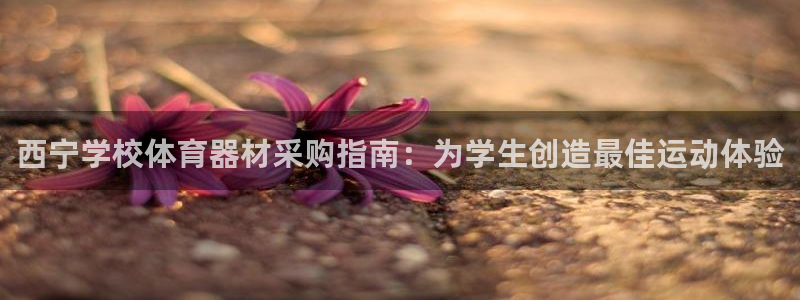 尊龙品牌怎么样