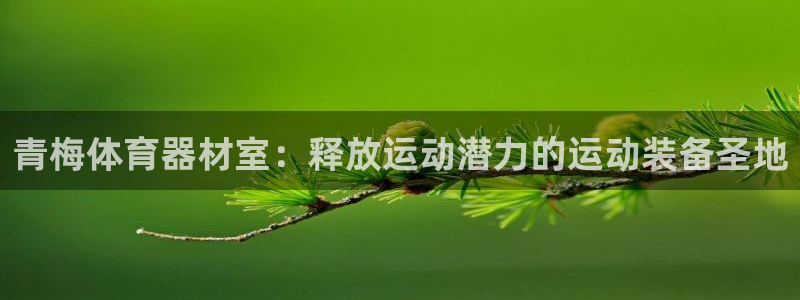 尊龙网址是选访问zd207