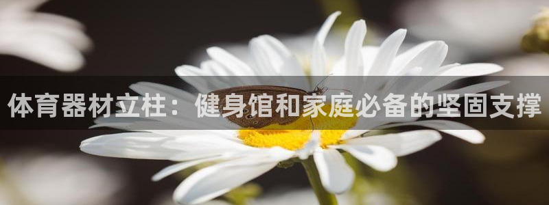 尊龙500价格