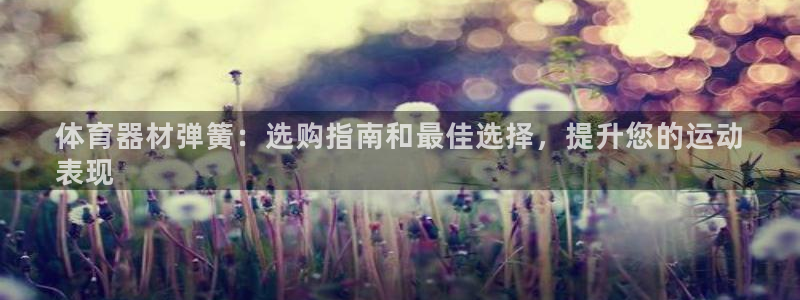 尊龙-人生就是博!：体育器材弹簧：选购指南和最佳选择，提升您