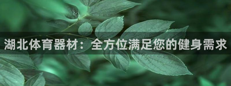 尊龙官方平台是正品吗