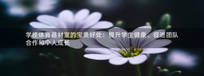 尊龙d88现金旧版本