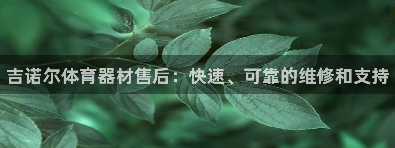 d88尊龙手机客户端下载