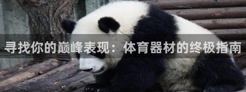 尊龙d88官网登录