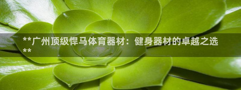 尊龙d88ag旗舰厅