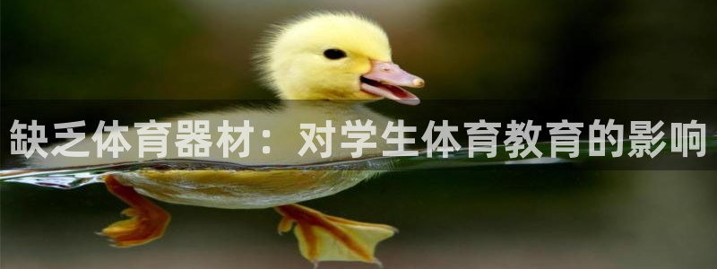 尊龙官方网站是真的吗