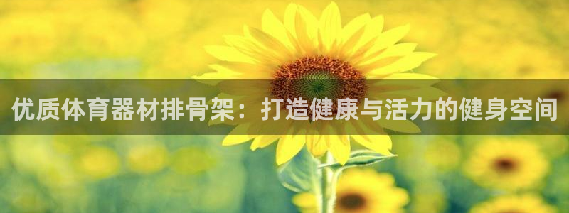 尊龙z6平台：优质体育器材排骨架：打造健康与活力的健身空间