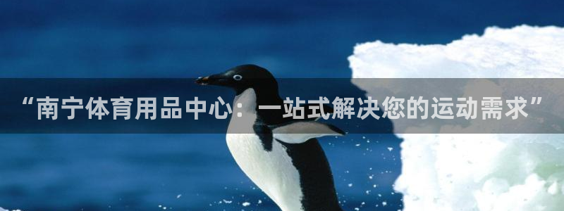 尊龙凯时处理未到账