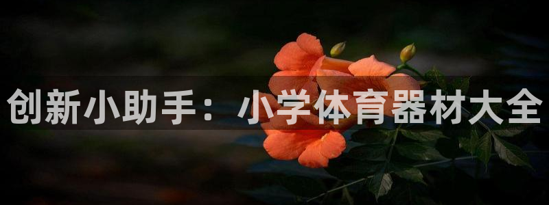 尊龙网站注册网