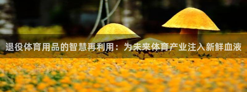 尊龙人生就是博首页