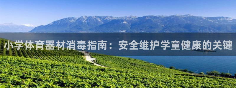 尊龙app下载官网