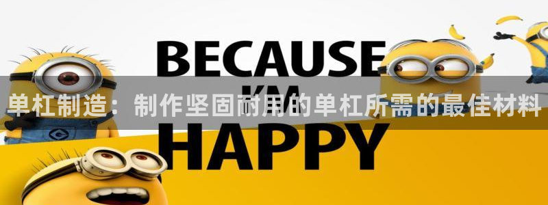 凯时平台登录：单杠制造：制作坚固耐用的单杠所需的最佳材料