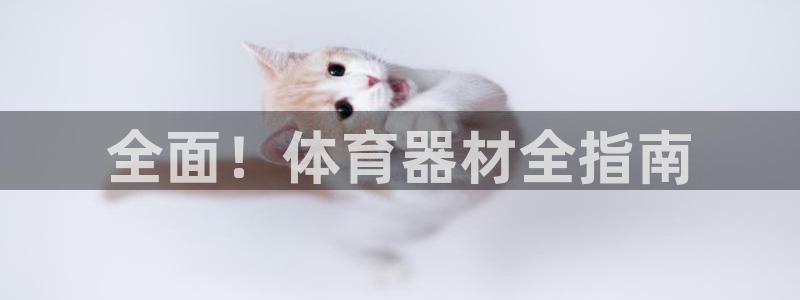 尊龙体育正规么