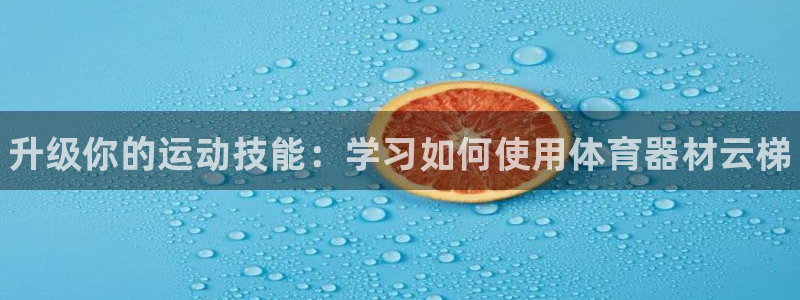 尊龙在线登录官网：升级你的运动技能：学习如何使用体育器材云梯