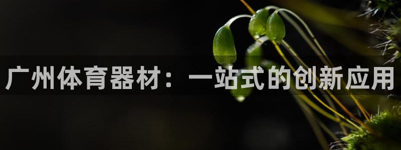 尊龙ag旗舰厅登录 租车app下载