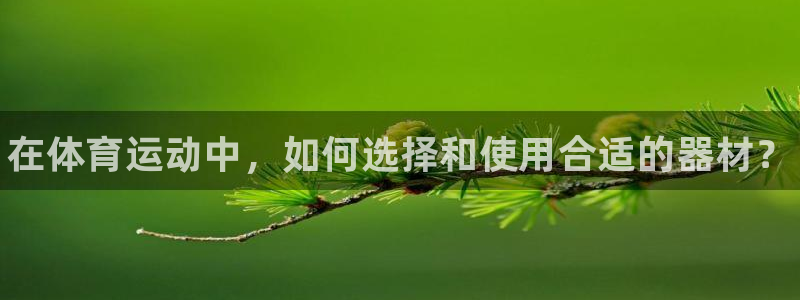 尊龙凯时电竞注册