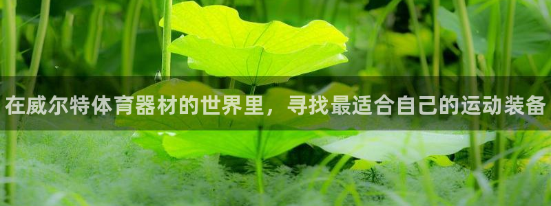 尊龙人生就是博下载：在威尔特体育器材的世界里，寻找最适合自己